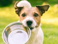 Jasmine aus Immenstadt im Allgäu