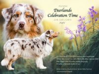 Deerlands Celebration Time