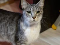 Barbara sucht ein schönes Zuhause!