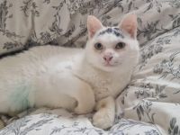 Suzette wartet sehnsüchtig auf ihre neue Familie