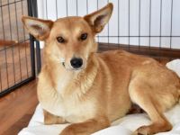 Speranta: Lebensfreude pur auf zwei Beinen und zwei Rädern