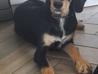 Nils sucht sein Ticket ins Glück