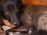 Hier kommt die bezaubernde Venus