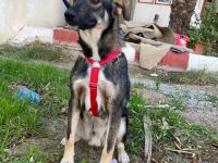 Mokka - Wo ist mein sicherer Hafen ?