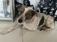 Mati, freundlich und menschenbezogen