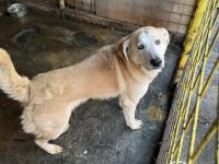 Wer zeigt Boomer, wie sich Liebe wirklich anfühlt?