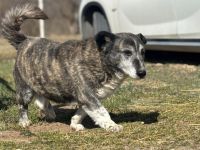 Für Karlchen muss das Glück einen zweiten Anlauf nehmen!