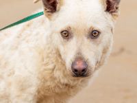 Felhö, anfangs noch sehr schüchtern