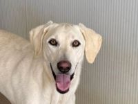 Wunderbare MARTE möchte mit Ihnen durchs Leben gehen