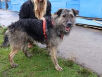 Wo Mika ist, ist das Herz zuhause.