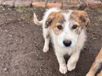 Zera - unsere kleine Kuschelprinzessin💖