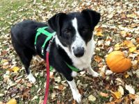 Aponi bereit für ihr neues Leben