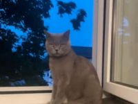 Verschmuste bkh Dame