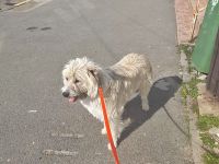 Tedy, lieb und freundlich