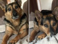 Schenkst du Eva dein Herz?