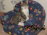 Vermittlungshilfe Mini