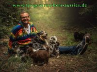 TJC Goatranchers Aussies