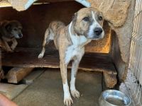 Vorsichtig hält Liana nach einem warmen Körbchen Ausschau...