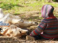 Therapiebegleithund- / Schulhundteam werden?