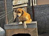 Lilly * reserviert *