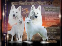 vom Durbuscher Forst