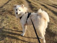 Willst du meine Familie sein?