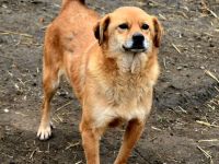 Eyla, ein älteres Mädchen, etwas schüchtern, sucht ihr Glück