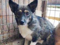 Julie, sehr ängstlich