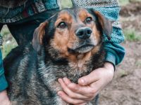 Socke sucht seine Familie