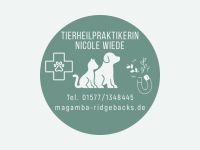 Mobile Tierheilpraktikerin Naturheilkunde Pferd, Hund, Kleintiere