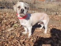 Kleiner Skippy - große Persönlichkeit