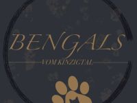 Bengalvomkinzigtal