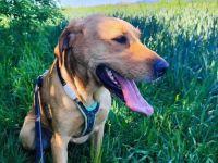 Ati, Sportskanone sucht Menschen, die fit sind