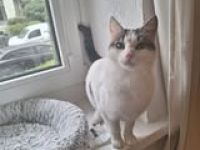 CHARM  ❤  kleine Prinzessin die ihre Menschen liebt