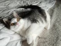 MISSY  ❤  MIT DEN BEZAUBERNDEN AUGEN