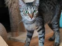 Frida möchte dein Leben bereichern!