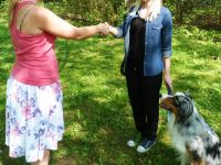 Ausbildung zum Besuchshunde-Team