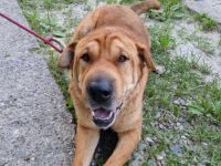 Aktives Zuhause für Energiebündel Spencer