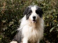 Paul sucht seine Menschen