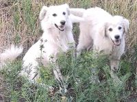 Alla – Ein neues Leben in Sicherheit suchen