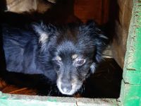 Hope – Ein Herz voller Liebe und Hoffnung