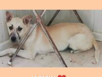 Jasmin wartet auf ihr Ticket ins Glück!