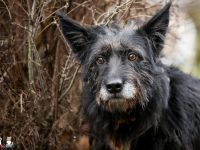 Mariechen sucht ein Zuhause