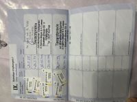 Liebe RR Rhodesian Ridgeback zu verkaufen