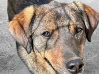 Bastian sucht sein Für-immer-Zuhause