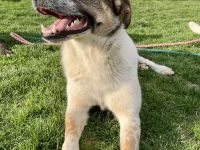 Olive wünscht sich eine liebevolle Familie