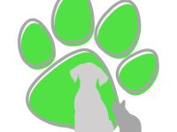 Mobiles Hundetraining in FFB, STA, DAH