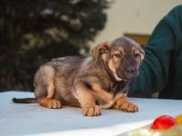 Das Glück hat einen Namen: Hermes