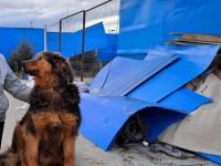 Neelix wartet schon so lange