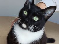 Calceta wünscht sich ein Für-Immer-Zuhause